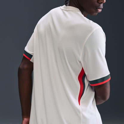 Nike Chelsea FC 2025/26 Stadium Away Men's Dri-FIT Soccer Replica Jersey