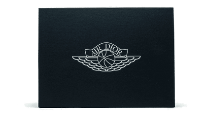 Air Jordan 1 Retro High Dior