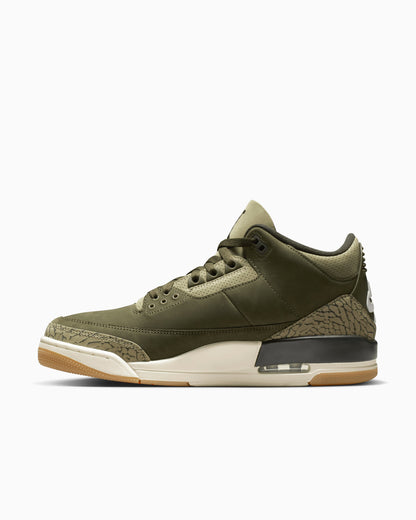 Air Jordan 3 Retro "Family Affair"