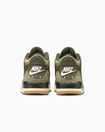 Air Jordan 3 Retro "Family Affair"