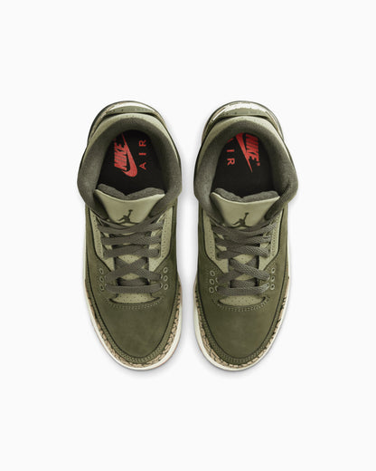Air Jordan 3 Retro "Family Affair" (GS)