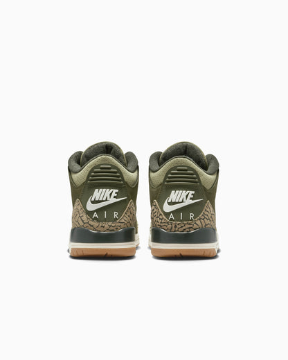 Air Jordan 3 Retro "Family Affair" (GS)