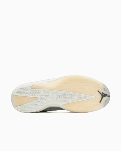 Air Jordan 40 "Wolf Grey"